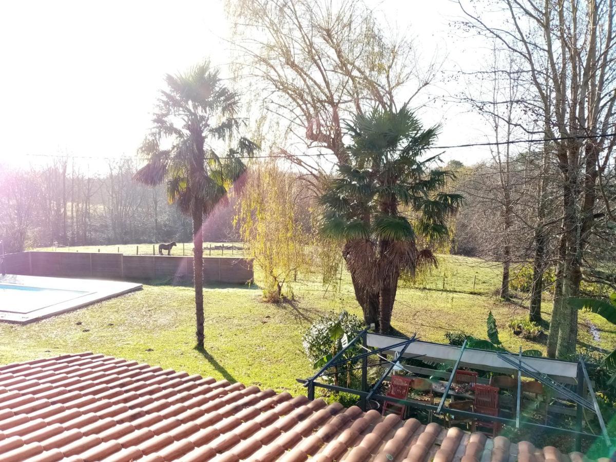 La Metairie De Biaudos住宿加早餐旅馆 外观 照片